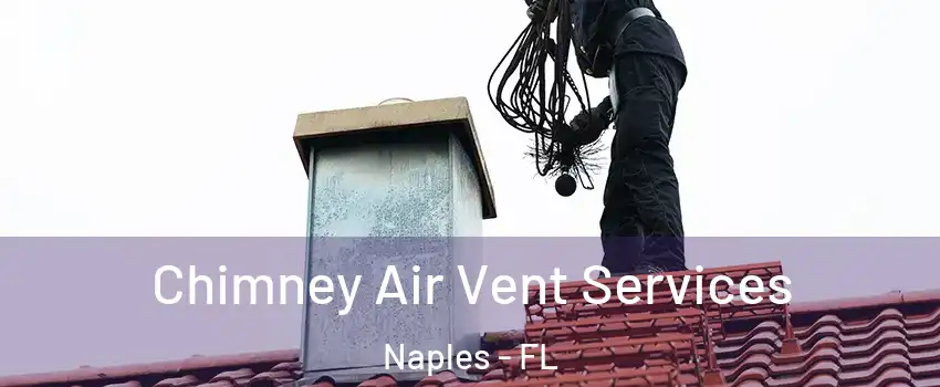  Chimney Air Vent Services Naples - FL
