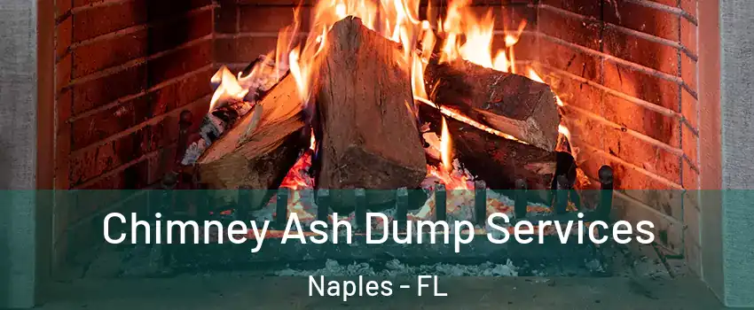  Chimney Ash Dump Services Naples - FL