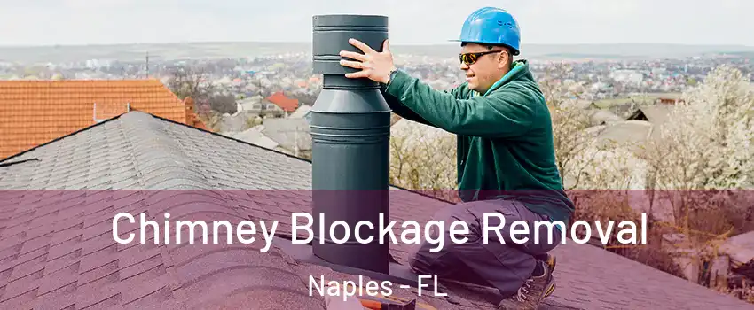  Chimney Blockage Removal Naples - FL