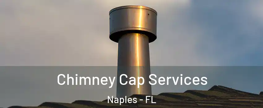  Chimney Cap Services Naples - FL