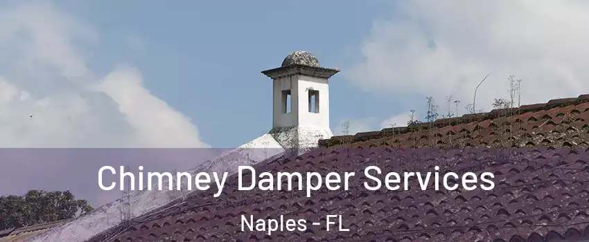  Chimney Damper Services Naples - FL