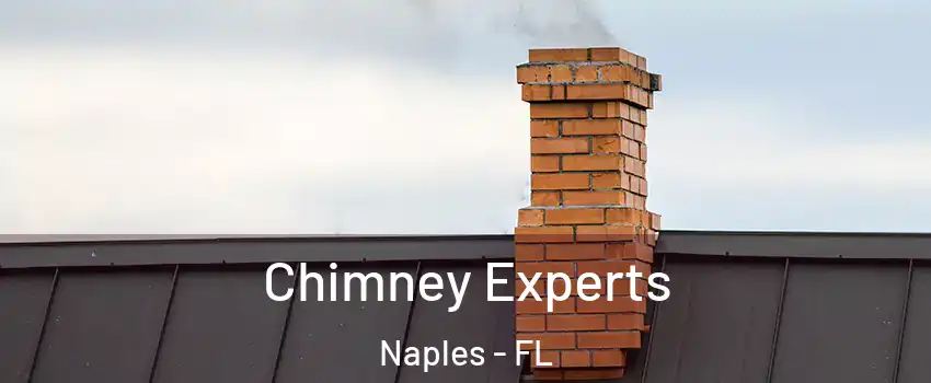  Chimney Experts Naples - FL