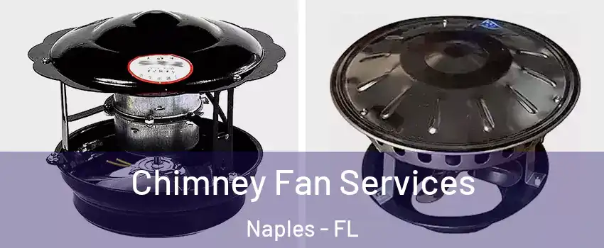  Chimney Fan Services Naples - FL