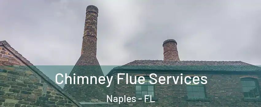  Chimney Flue Services Naples - FL