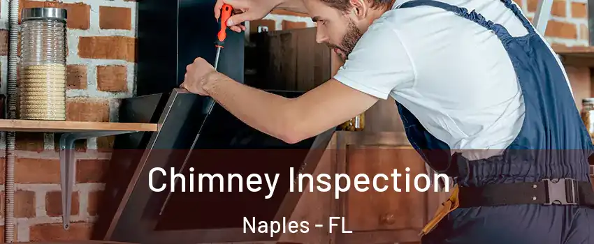  Chimney Inspection Naples - FL