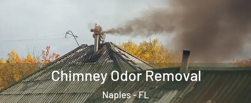  Chimney Odor Removal Naples - FL