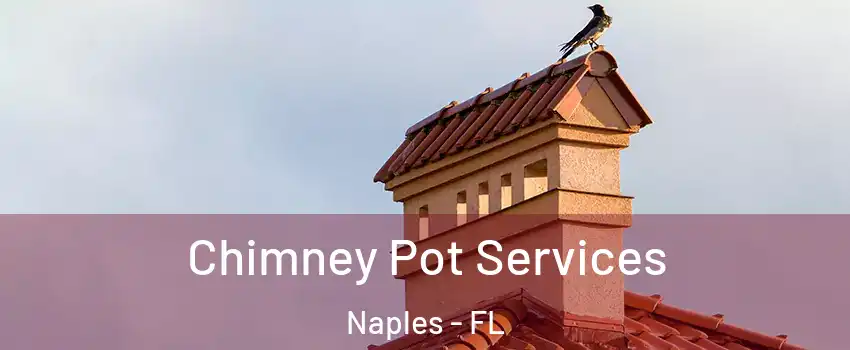  Chimney Pot Services Naples - FL