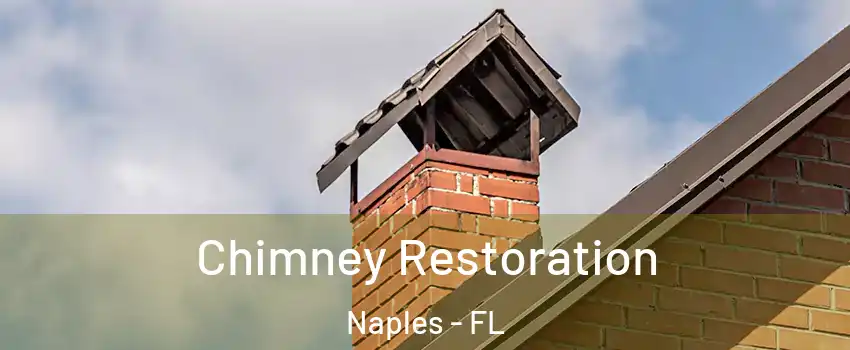 Chimney Restoration Naples - FL