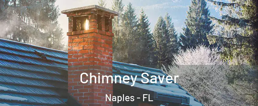  Chimney Saver Naples - FL