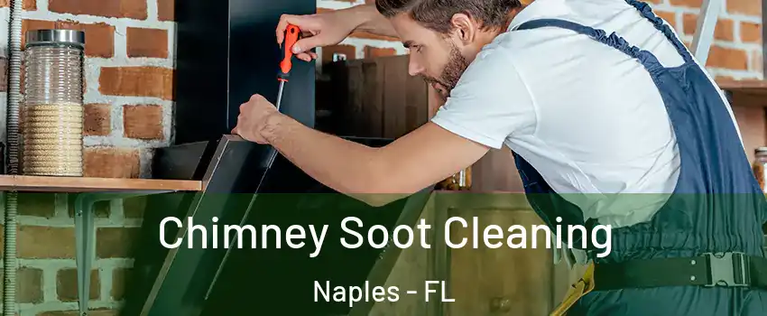  Chimney Soot Cleaning Naples - FL