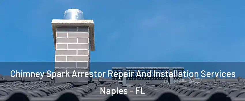  Chimney Spark Arrestor Repair And Installation Services Naples - FL
