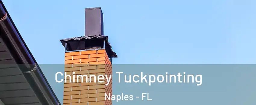  Chimney Tuckpointing Naples - FL