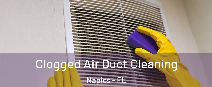  Clogged Air Duct Cleaning Naples - FL