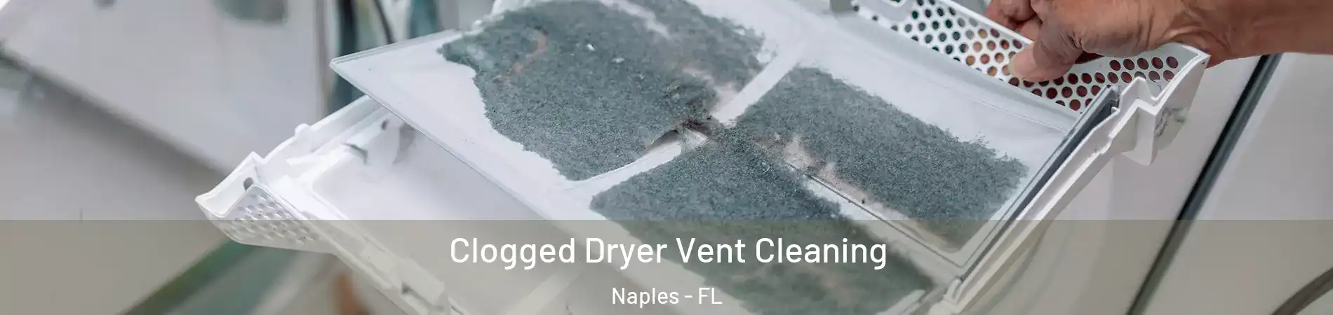  Clogged Dryer Vent Cleaning Naples - FL