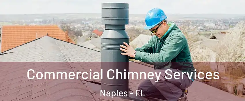  Commercial Chimney Services Naples - FL