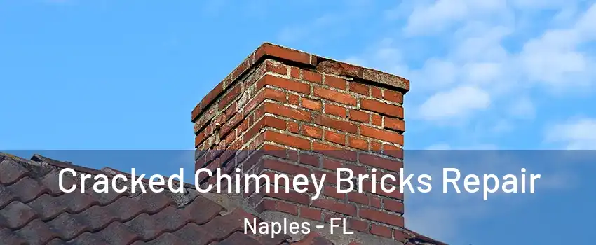  Cracked Chimney Bricks Repair Naples - FL