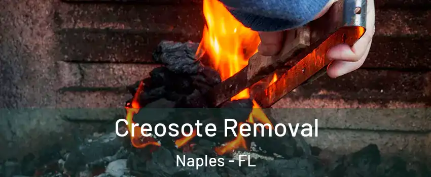  Creosote Removal Naples - FL
