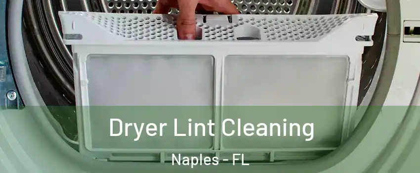  Dryer Lint Cleaning Naples - FL