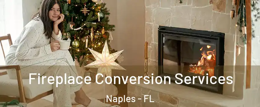  Fireplace Conversion Services Naples - FL