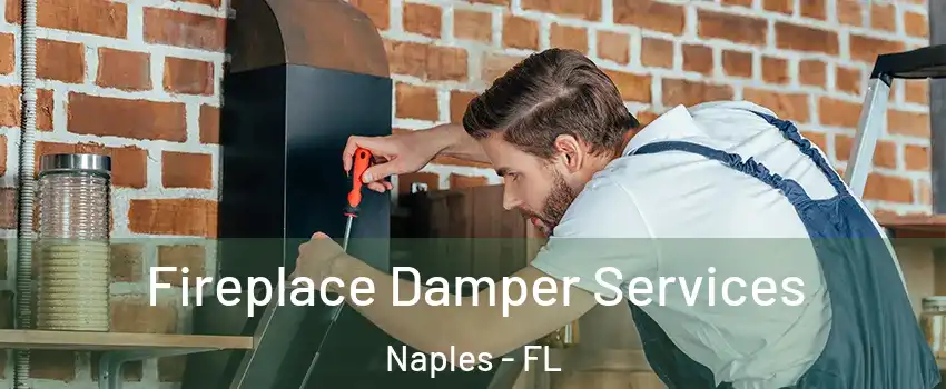  Fireplace Damper Services Naples - FL