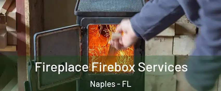  Fireplace Firebox Services Naples - FL
