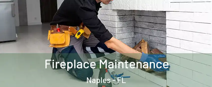  Fireplace Maintenance Naples - FL
