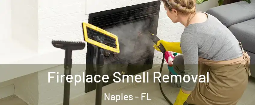  Fireplace Smell Removal Naples - FL