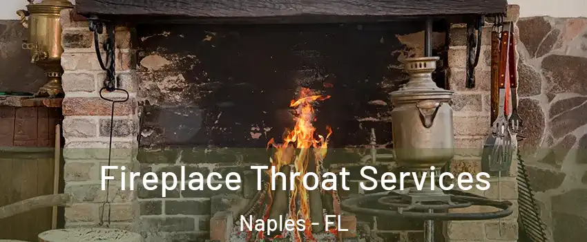  Fireplace Throat Services Naples - FL