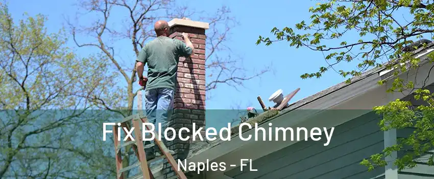  Fix Blocked Chimney Naples - FL