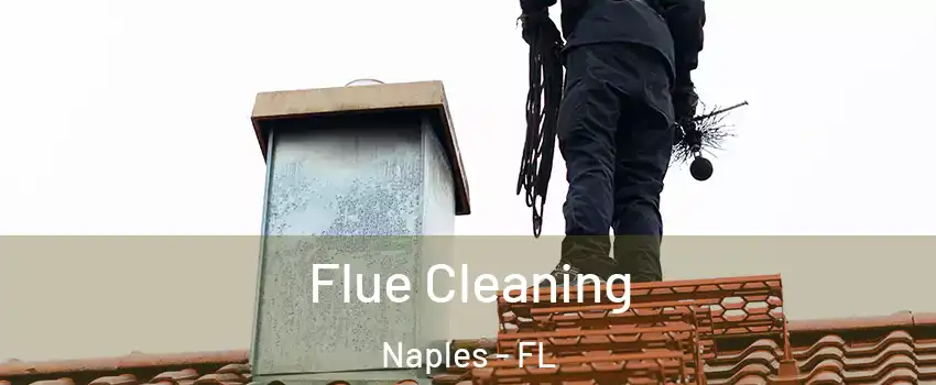  Flue Cleaning Naples - FL
