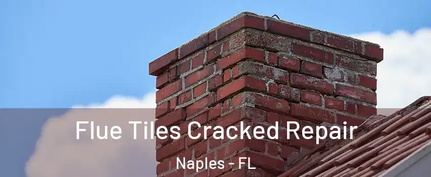  Flue Tiles Cracked Repair Naples - FL