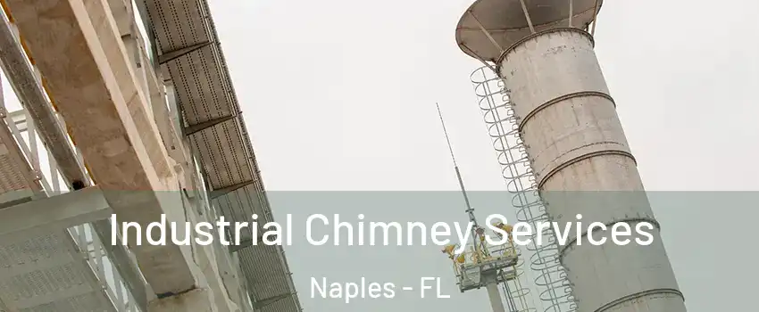  Industrial Chimney Services Naples - FL