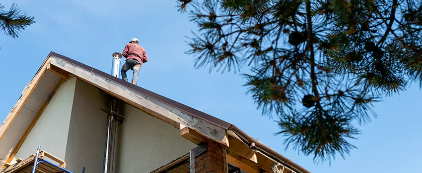 Birds Removal Contractors from Chimney in Naples, FL