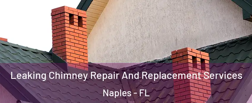 Leaking Chimney Repair And Replacement Services Naples - FL