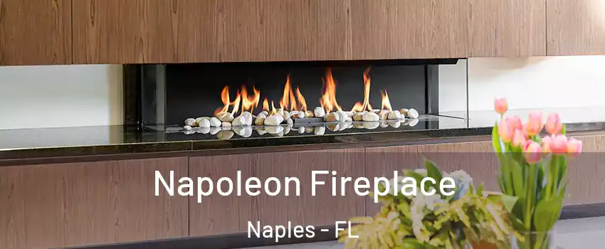  Napoleon Fireplace Naples - FL