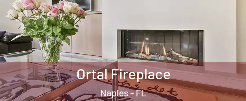  Ortal Fireplace Naples - FL