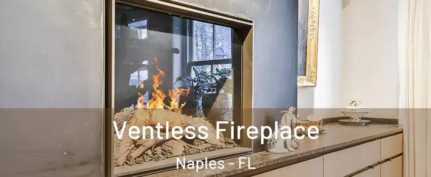  Ventless Fireplace Naples - FL